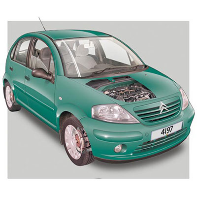  Citroen C3 (level 38) 