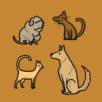 Cats And Dogs