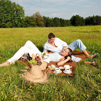 Go On Picnics