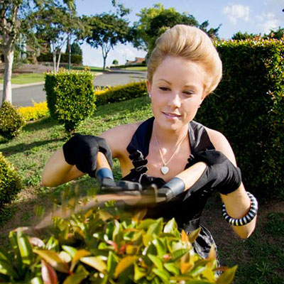Trim The Hedge