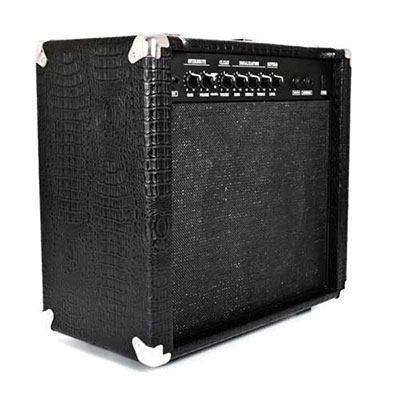 Amplification