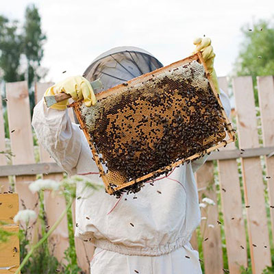 Bee Keeper