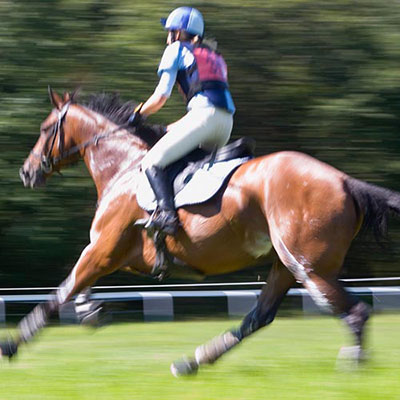 Jockey