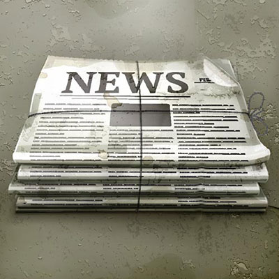  Journalist 