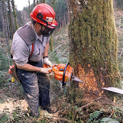 Lumberjack