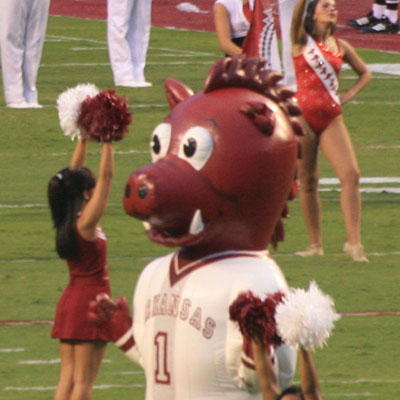  Mascot 