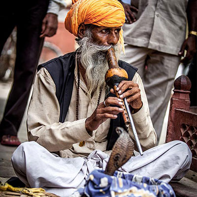 Snake Charmer