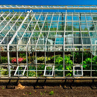 Greenhouse