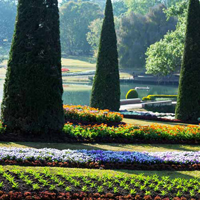  Landscaped 
