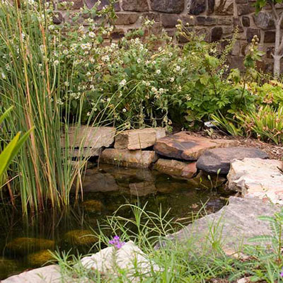  Pond 