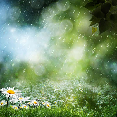 Precipitation