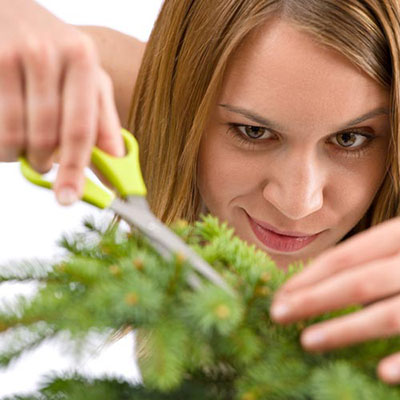  Pruning 