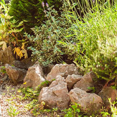 Rockery