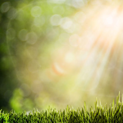 Sunlight
