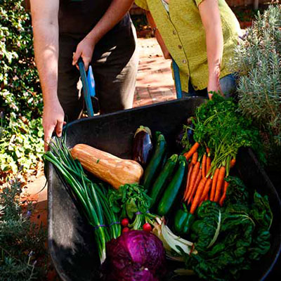 Vegetables