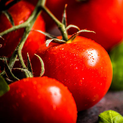 Cherry Tomatoes