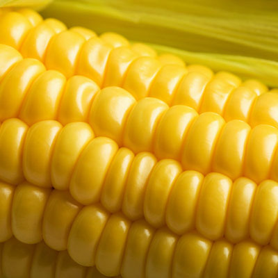 Sweetcorn