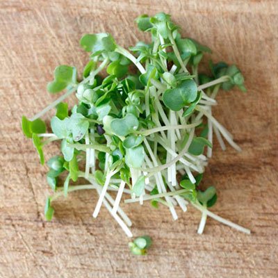 Cress