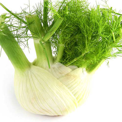  Fennel 