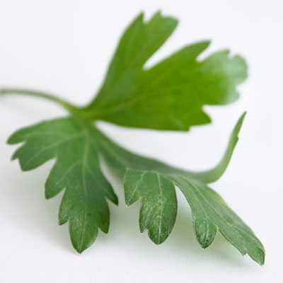  Parsley 