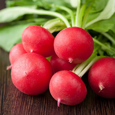  Radish 