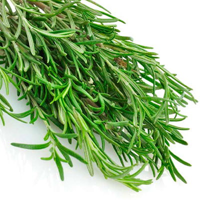 Rosemary