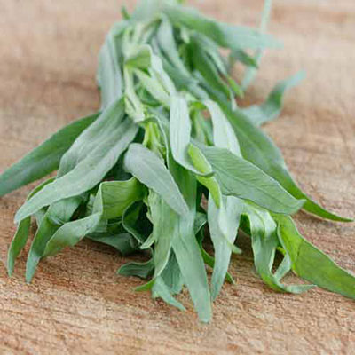 Tarragon