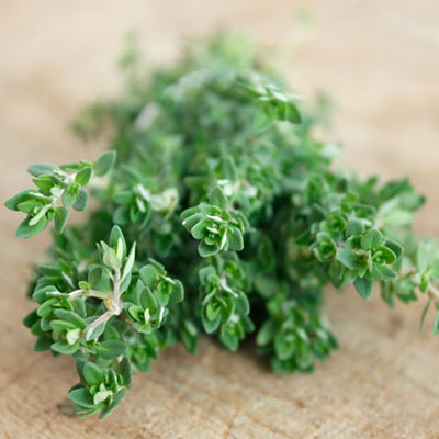  Thyme 