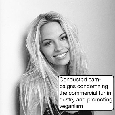 Pamela Anderson