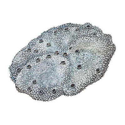 Sponge