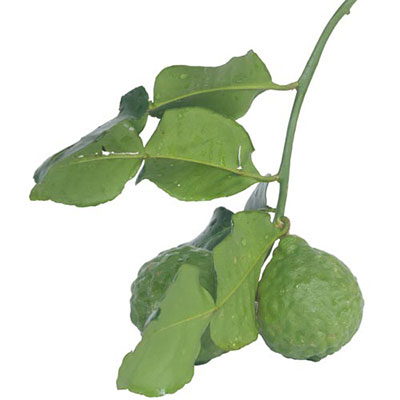 Bergamot