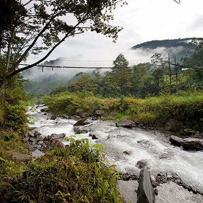 Rapids