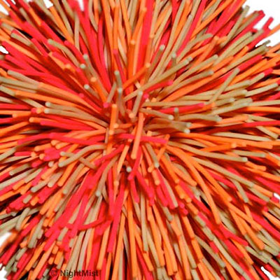 Koosh Ball