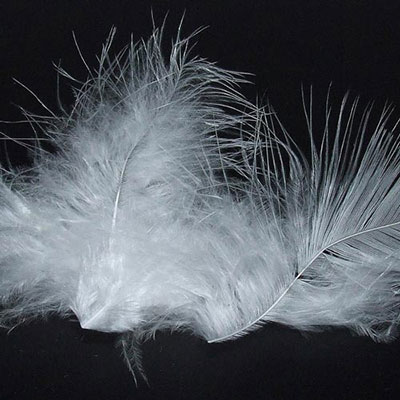 Down Feathers