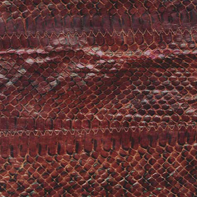 Snakeskin