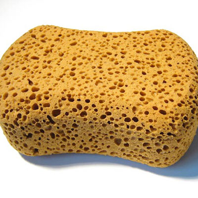 Sponge