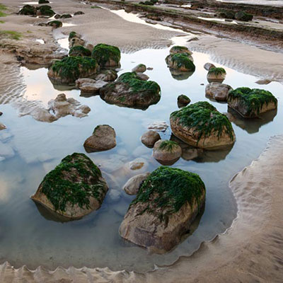 Rockpool