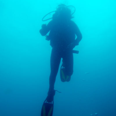 Scuba Diver