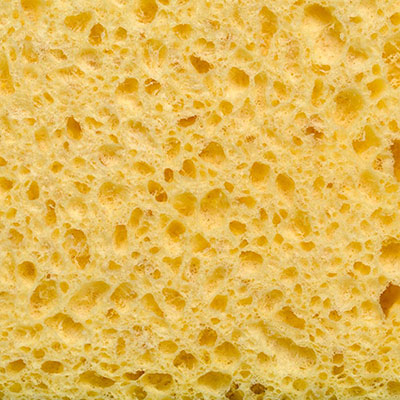 Sponge
