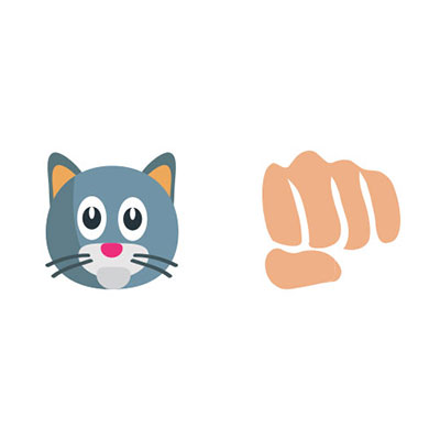 Catfight