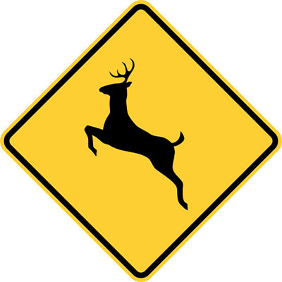  Deer 