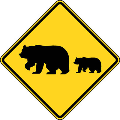 Migrating Bears