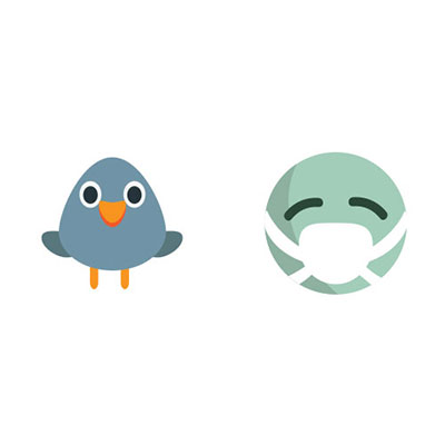 Bird Flu