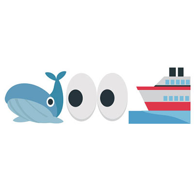 Whale Watching