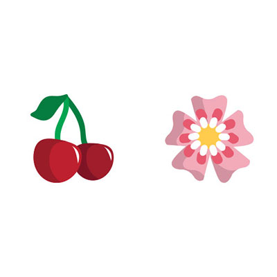 Cherry Blossom