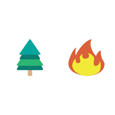 Forest Fire