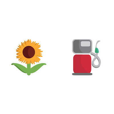 Sunflower Oil