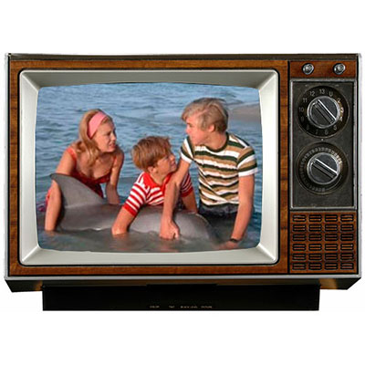 Flipper