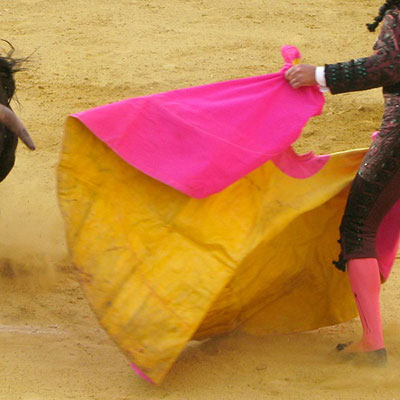 Bull Fighting
