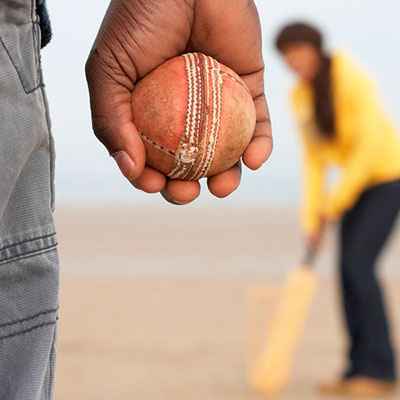  Cricket 